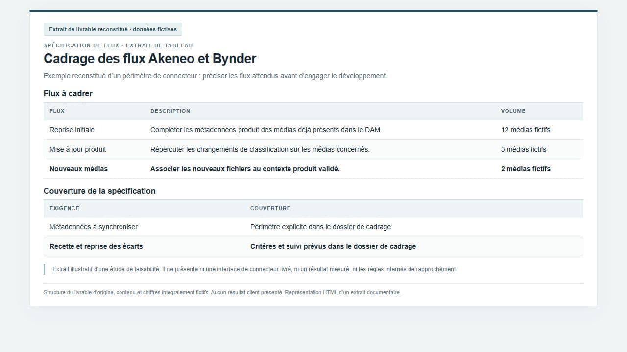 Akeneo and Bynder feasibility specification extract · reconstructed extract with fictional data.